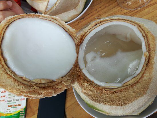 Ben Tre Coconut 190 Bach Dang